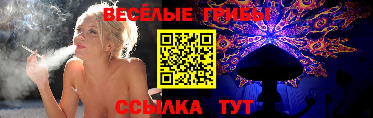 Куйбышев  Галлюциногенные грибы мицелий  Вход с VPN 